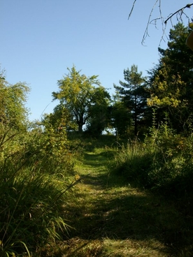 Wanderweg